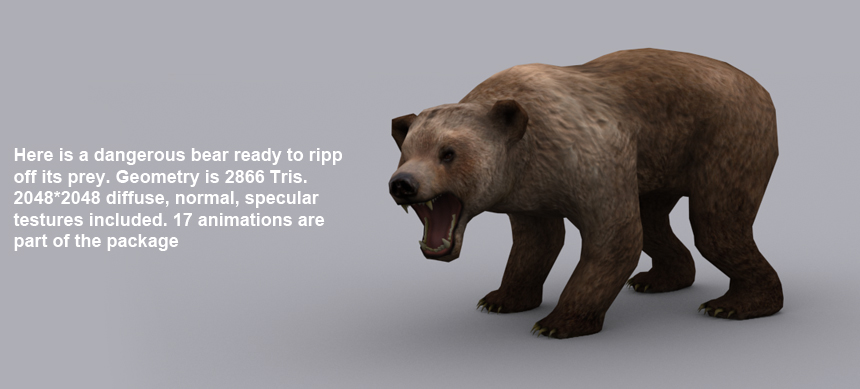 BEAR ( rigged,skinned and animated ) - Unity Forum