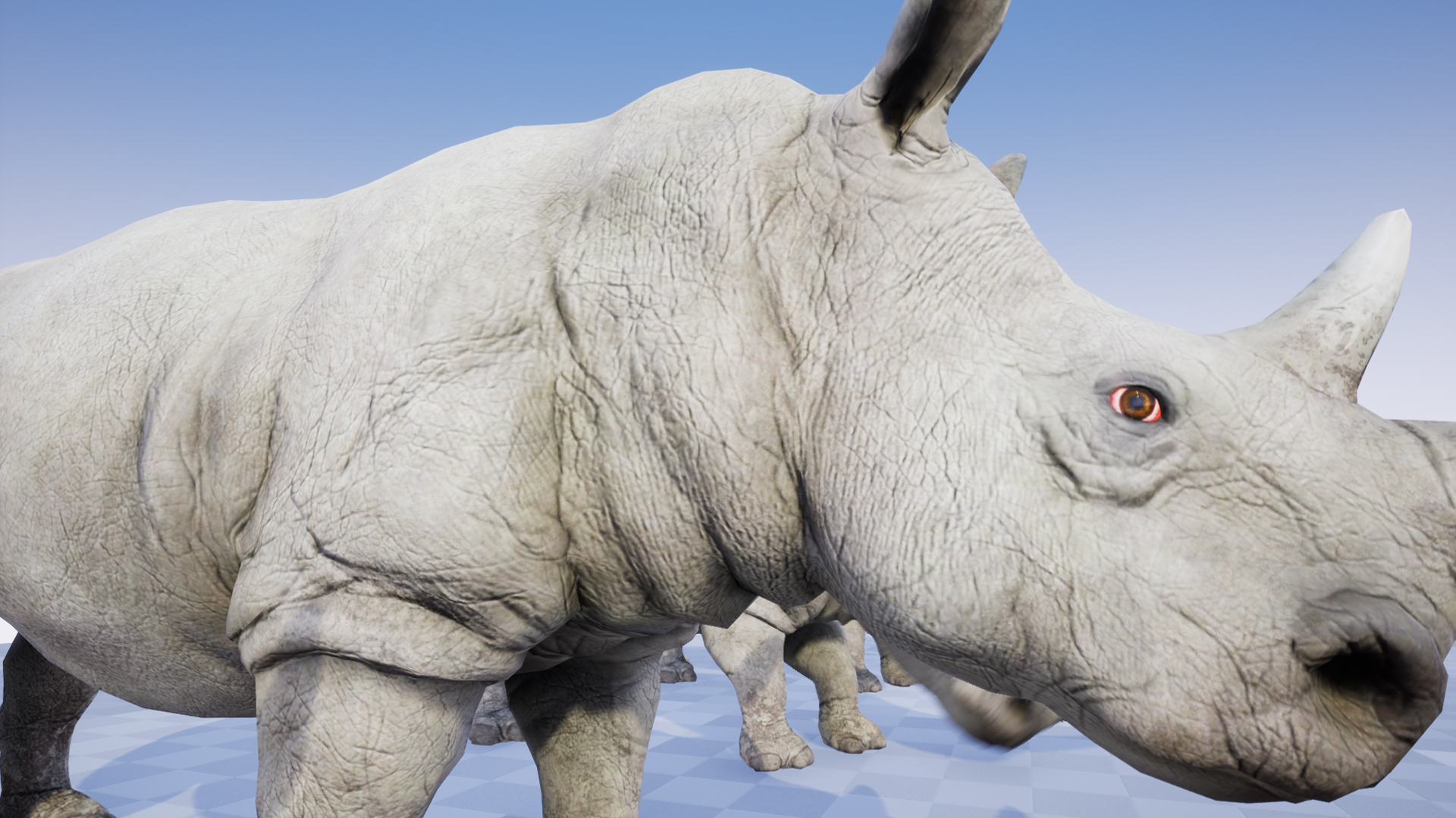 download rhinoceros