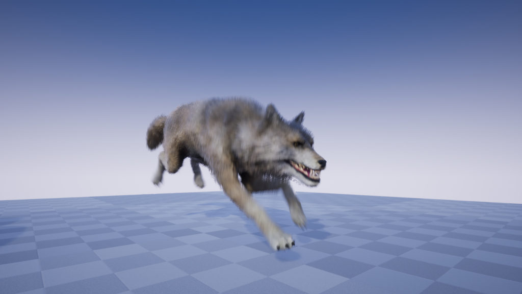 Wolf Protofactor WOLF – PROTOFACTOR