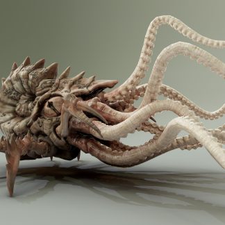 KRAKEN – PROTOFACTOR