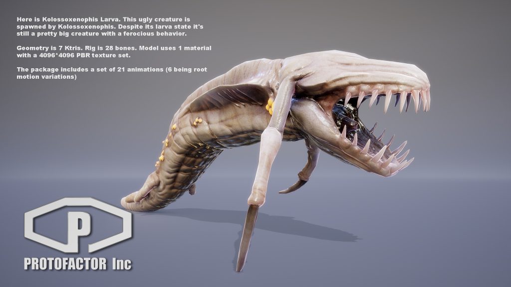 KOLOSSOXENOPHIS – PROTOFACTOR