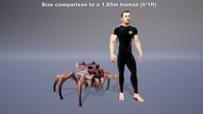 FUGETHROX - Image 3