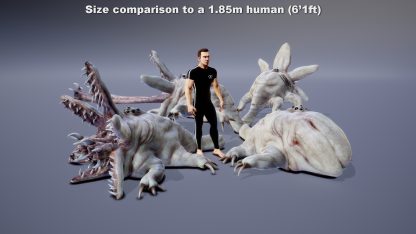 CRASSOPLAST - Image 3
