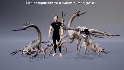 MONSTER: TURPINOMORPH - Image 3