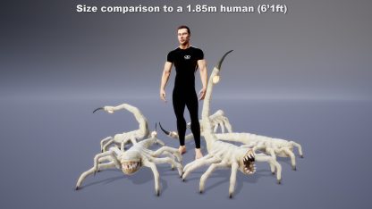 MONSTER: ARANOCODUS - Image 3