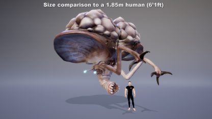 MONSTER: KAPELOPROBOSKID - Image 3