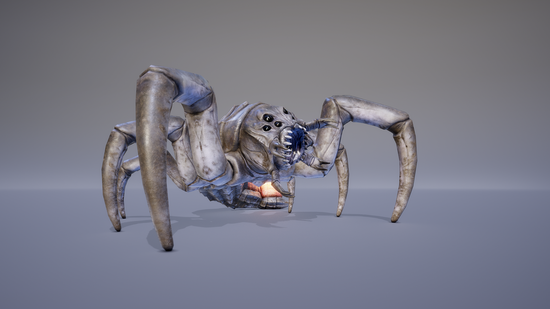 MONSTER: GIGABDOMOCAUDA LARVA