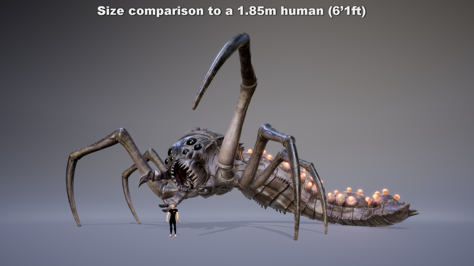 MONSTER: GIGABDOMOCAUDA BOMBIS - Image 3