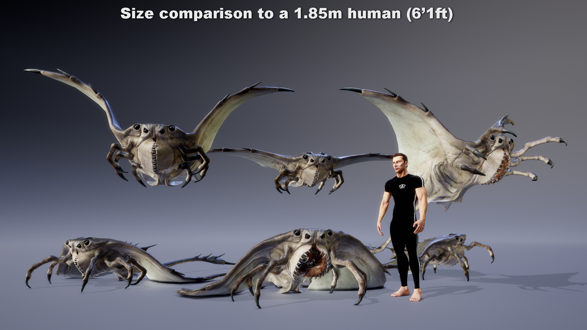 MONSTER: PTEROMAHRE - Image 3