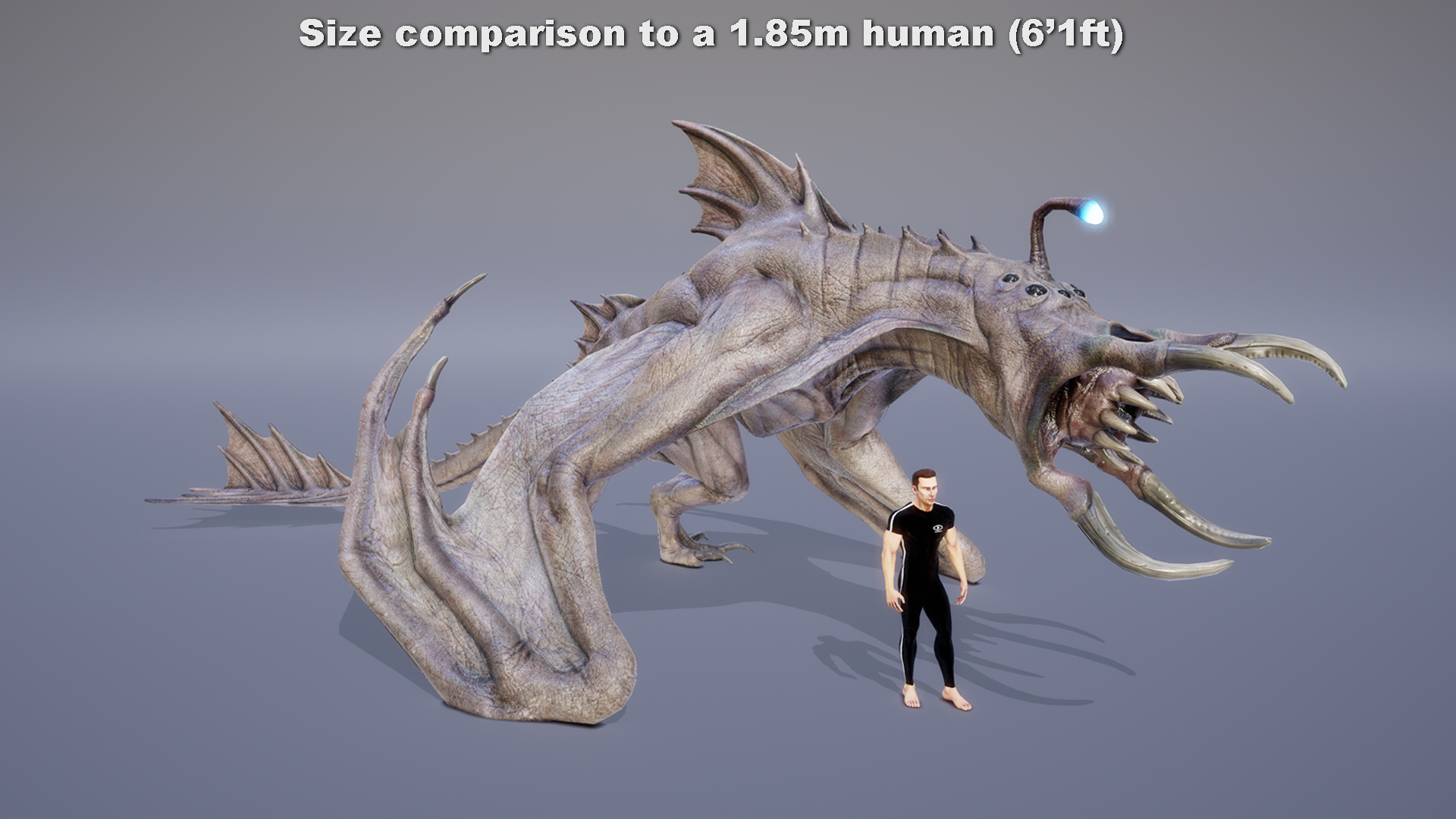 MONSTER: TETRUNCIPTERE - Image 3