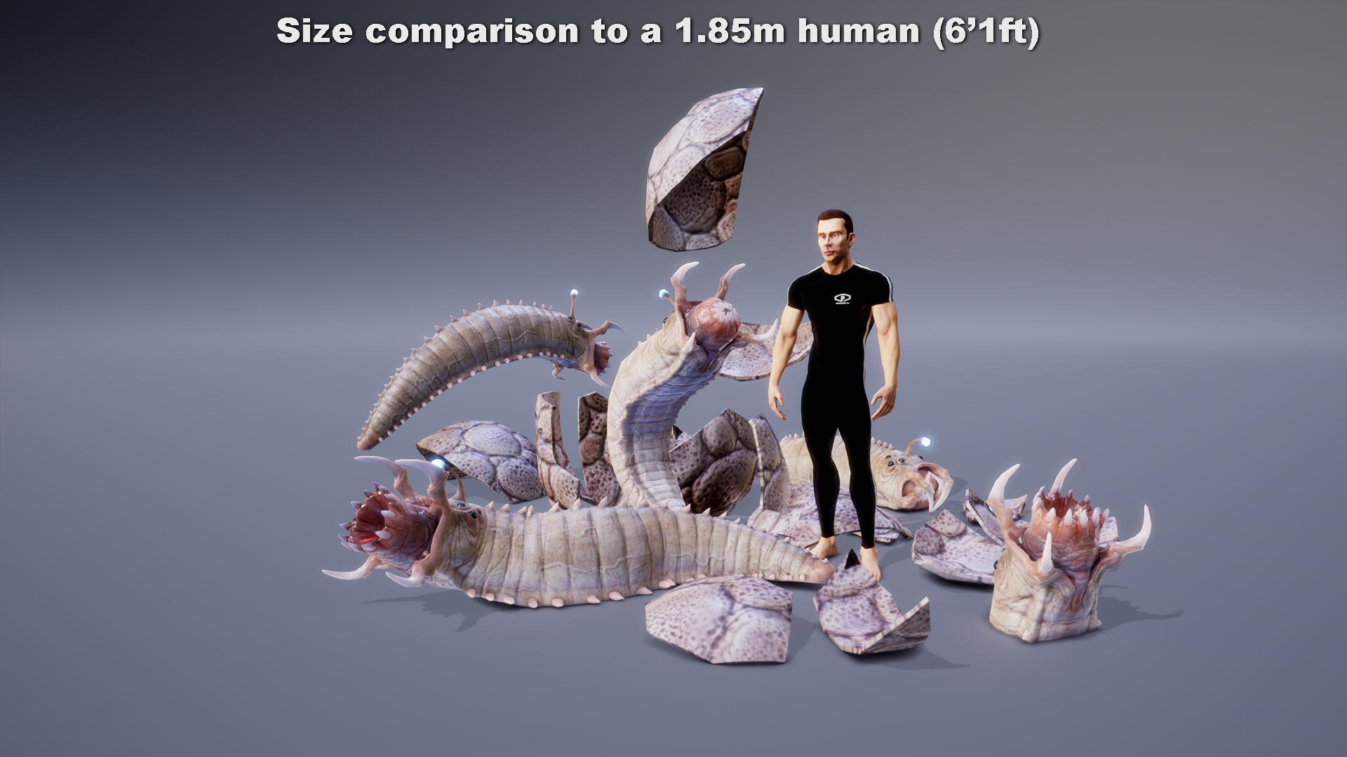 MONSTER: TETRUNCIVERMIS - Image 3